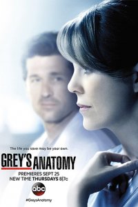 Постер к Анатомия Грей / Анатомия страсти (11 сезон) / Greys Anatomy