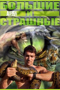 Постер к Большие и страшные (2 сезон) / Biggest and Baddest (2014)