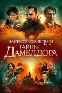 Постер к Фантастические твари: Тайны Дамблдора