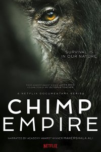 Постер к Империя шимпанзе (1 сезон) / Chimp Empire (2023) WEB-DLRip