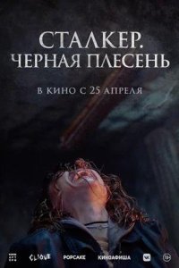 Постер к Сталкер. Черная плесень