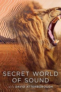 Постер к Тайный мир звука с Дэвидом Аттенборо (1 сезон) / Secret World of Sound with David Attenborough (2024) WEB-DLRip