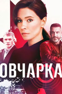 Постер к Овчарка (2024) WEB-DLRip