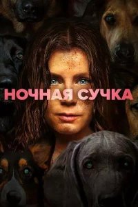 Постер к Ночная сучка